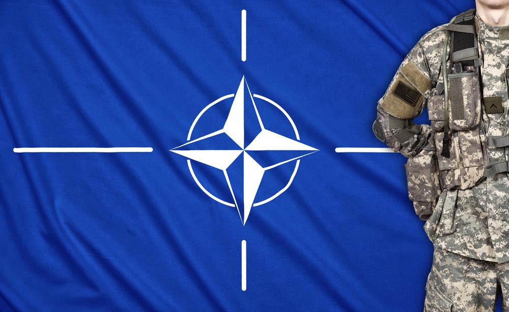 Толпа ёжиков и медведь — в НАТО непорядок с головой?